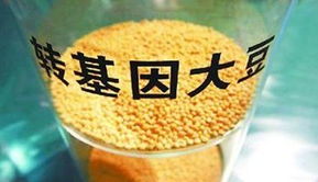 金龍魚陷轉基因門風波 專家稱安全性尚無定論，對酒類經營有何啟示？